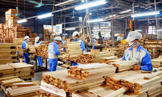Hai 'khách sộp' tăng mạnh nhập nông sản Việt Nam 