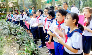 Đề xuất của Bộ Giáo dục và Đào tạo: Cho học sinh “học nghề” từ cấp Tiểu học