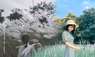 Cánh đồng lau ngay giữa trung tâm Hà Nội: Đẹp hoang sơ nhưng lên hình “chill” cực kỳ
