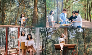 Ghé thăm rừng thông lớn nhất Hà Nội, cực hợp “đi đu đưa” với hội cạ cứng mùa Hè này