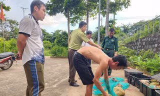 Người đàn ông vận chuyển 17 cá thể động vật quý hiếm ở Côn Đảo bị xử lý thế nào?