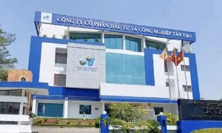 Cổ phiếu Tân Tạo gặp 'hạn'