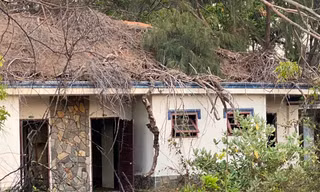 Cảnh hoang tàn ở Mũi Kê Gà sau 10 năm hủy dự án cảng nước sâu