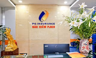 Tổng Giám đốc PJICO bị miễn nhiệm 