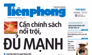 Tiền Phong số 342/2024