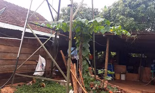 Hiện trường vụ điện giật bé trai 8 tuổi tử vong
