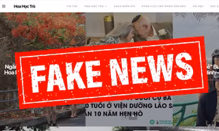 Cảnh báo trang web giả mạo chuyên trang Hoa Học Trò điện tử