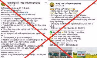 7 đối tượng lừa bán thóc giống giả chiếm đoạt gần 8 tỷ đồng