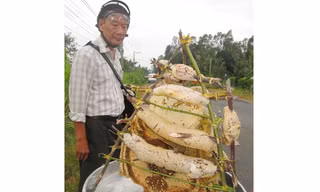 Mùa khô là thời điểm mùa khai thác mật ong chính vụ. Do ong tại các vùng rừng miền Tây không còn nhiều nên người làm nghề rủ nhau sang biên giới Campuchia khai thác, vì đây là vùng có nhiều ong mật.