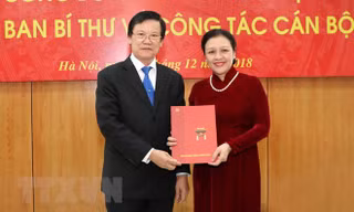 Quyết định của Ban Bí thư Trung ương Đảng về công tác cán bộ