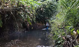 Hình ảnh suối Trầm hôm qua 