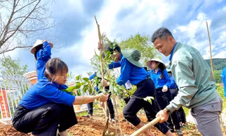 Hàng nghìn thanh niên Lâm Đồng được hỗ trợ sau hoàn lương 