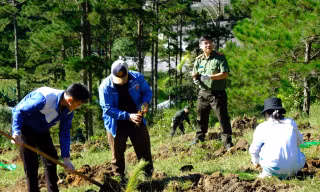 Đà Lạt làm gì để phát triển đô thị sinh thái bền vững?