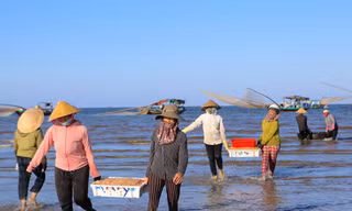 Ngư dân Hà Tĩnh trúng đậm ruốc biển