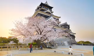 Kinh nghiệm du lịch Kyushu hữu ích cho mọi người
