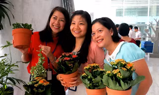 Niềm vui nhận cây xanh được đổi bằng vỏ hộp sữa 