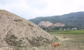 Ruộng đồng bỏ hoang, đất đai bị cày xới
