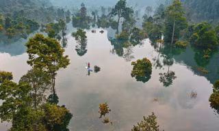 Phong Nha-Kẻ Bàng là ứng viên sáng giá của Danh lục Xanh IUCN 