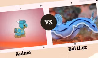 Loài vật như Pokémon "xé truyện bước ra đời thực" khiến nhiều fan trầm trồ