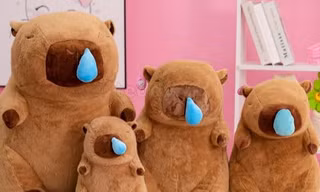 5 cách để bạn trở thành "chiến thần ngoại giao" được yêu mến như Capybara