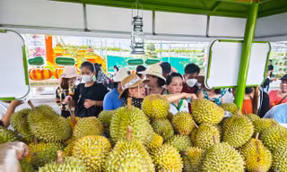 Vì sao sầu riêng xuất khẩu của Thái Lan bỏ xa Việt Nam?