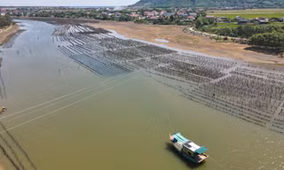 ‘Ma trận’ cọc tre, trụ bê tông giữa lòng sông ở Hà Tĩnh