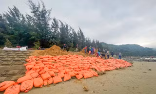 Hơn trăm người gia cố kè biển xói lở ở Hà Tĩnh 