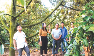 Nỗ lực giải phóng mặt bằng dự án cao tốc Khánh Hòa - Buôn Ma Thuột 