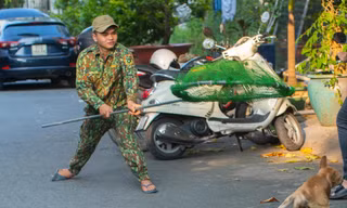 Mạnh tay với chó thả rông 