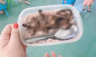 Mạng xã hội xôn xao bức ảnh "học sinh phải ăn cơm với thịt chuột", thực hư là thế nào?