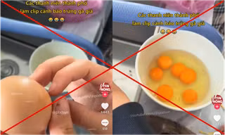 Thông tin "trứng gà giả" xuất hiện tràn lan trên mạng xã hội, thực hư ra sao?