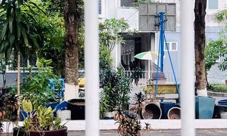 Một học sinh lớp 5 ở Bình Dương tử vong ở trường, nữ sinh Bắc Giang tự sinh con trong nhà tắm