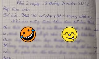 Bài văn tả đàn chim bồ câu khiến ai đọc xong cũng ngỡ ngàng vì "không thể chân thực hơn"