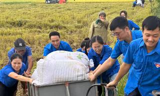 Tuổi trẻ Thái Bình, Hà Tĩnh hỗ trợ người dân để đảm bảo hành lang tuyến dự án 500kV mạch 3