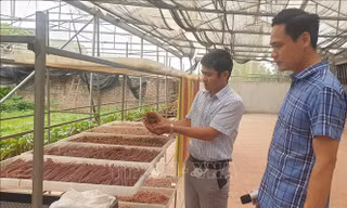 Hà Nội đi đầu trong Chương trình Mỗi xã một sản phẩm
