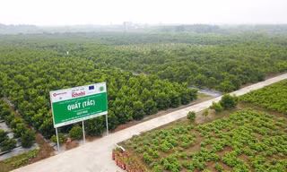 Nam Dược – phát triển vùng trồng chuẩn quốc tế, bảo tồn nguồn gen dược liệu, giúp xóa đói giảm nghèo