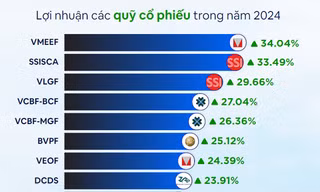 Quỹ mở cổ phiếu năm 2025: Kỳ vọng lợi nhuận vượt trội VN-Index