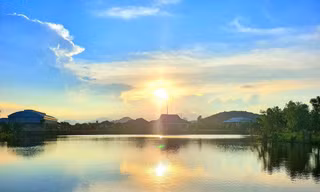 LAMORI dịu dàng sắc thu sang