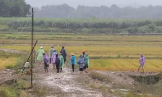 Tìm thấy thi thể cụ ông sau 3 ngày bị lũ cuốn