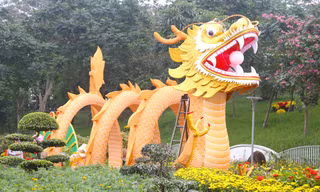 Chiêm ngưỡng linh vật rồng ở Nghệ An