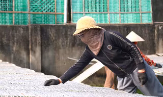 Đơn hàng tăng gấp 3, người dân làng bánh đa 'chạy đua' với Tết