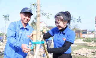 Tuổi trẻ Nghệ An trồng hơn 5.300 cây xanh hưởng ứng Tết trồng cây