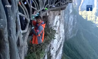 Người chuyên đu dây dọn rác trên vách núi cao 1.500m cực nguy hiểm