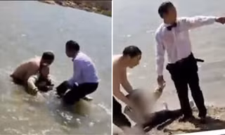 Đang chụp ảnh cưới thấy cô gái bị đuối nước, chú rể nhảy xuống cứu dù bơi không giỏi