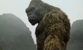 Kong: Skull Island cũng hái ra tiền ở khắp rạp chiếu thế giới