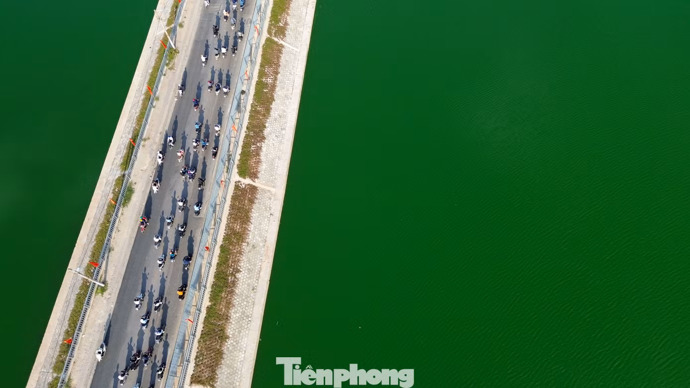 tp-c_dji-0541.jpg
