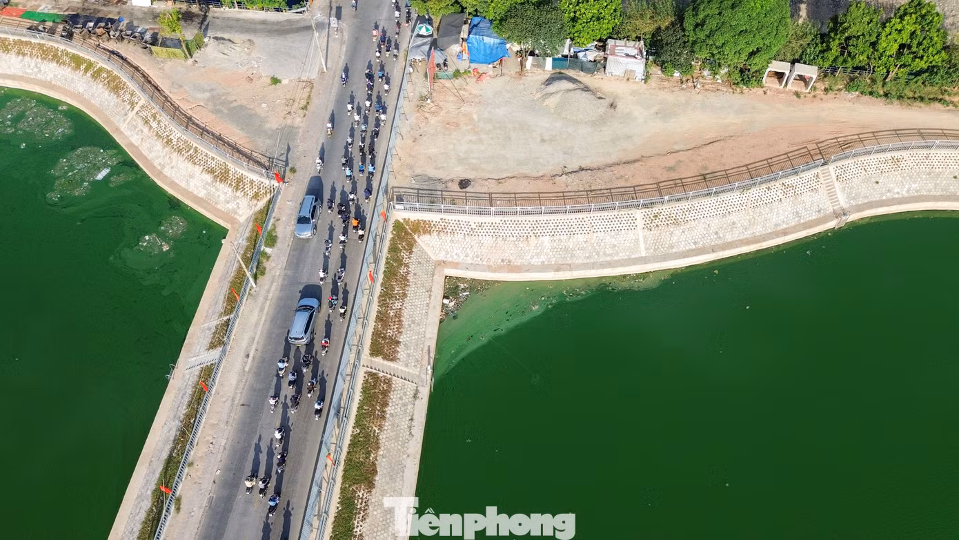 tp-c_dji-0543.jpg