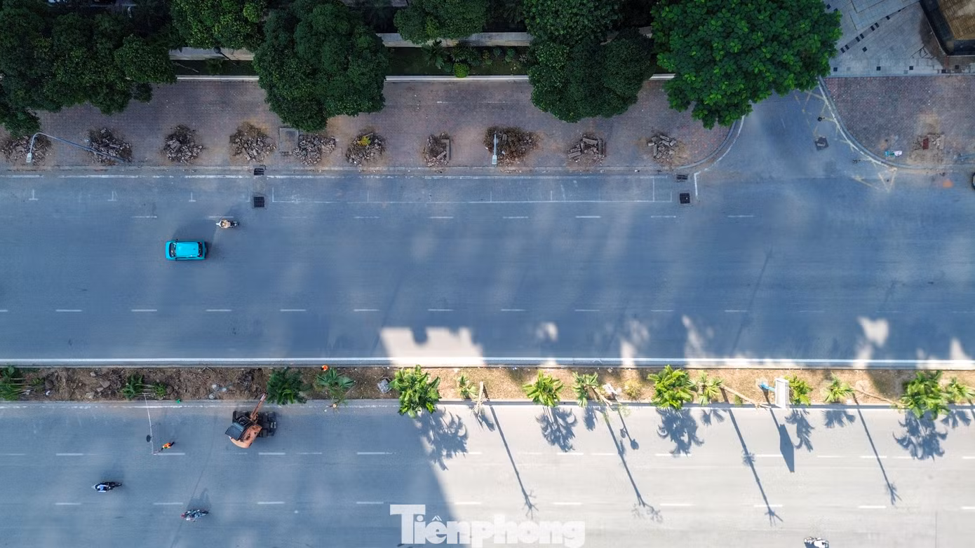tp-c_dji-0508.jpg