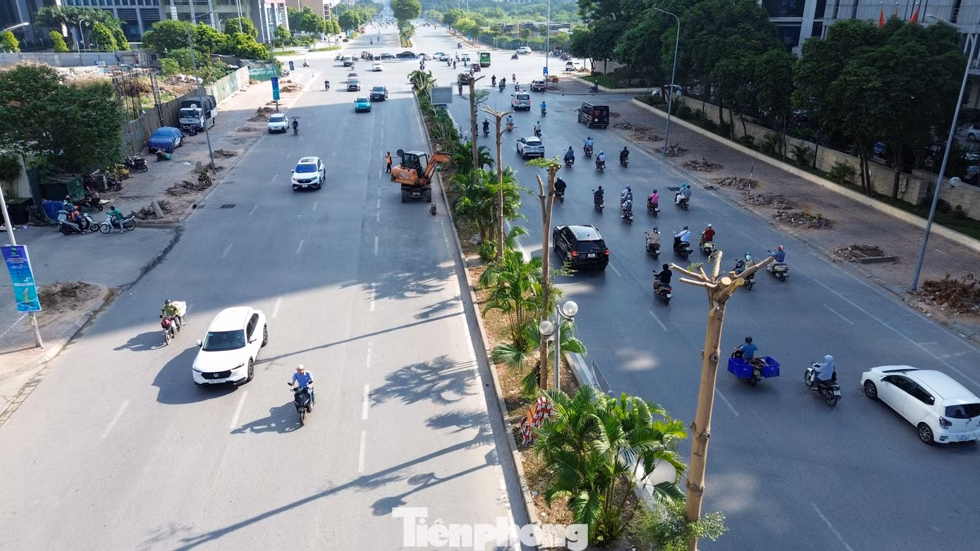 tp-c_dji-0503.jpg
