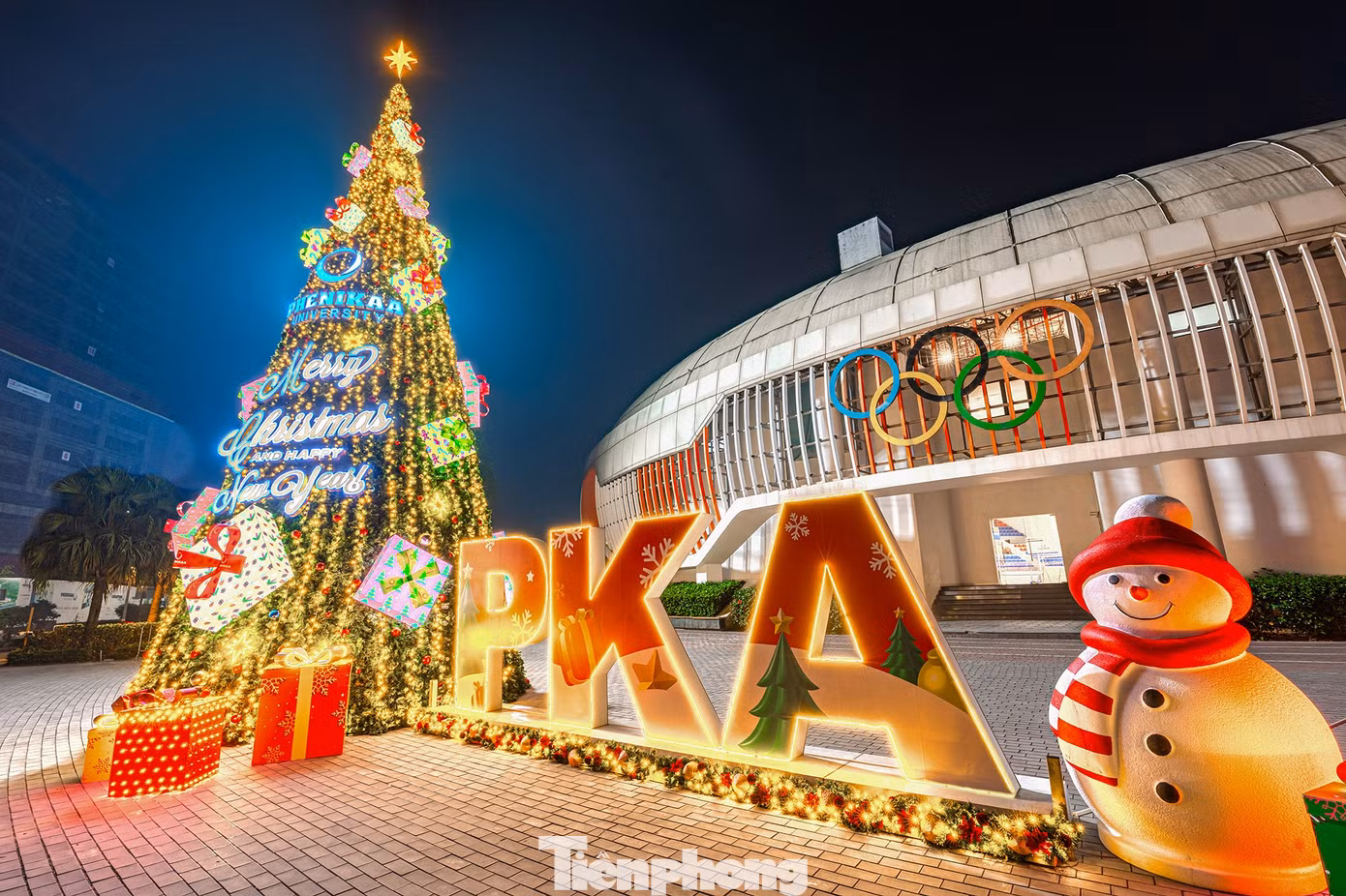 tp-cay-thong-noelpka05050-hdr-edit-edit.jpg